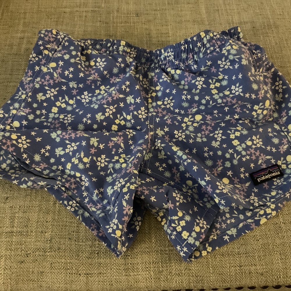 Patagonia Girls Baggies Shorts Multicolor Blue/Purple Floral Print Sz L.